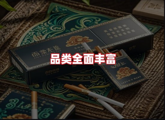专业团队